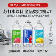 ��������ζ�մ�ˮ��Ʒ�������ƶ��ƴ��ӹ�oemСƿ�����մ�����