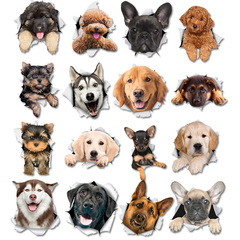 3D貼紙劃痕貼逼真小狗裝飾貼汽車電動車身筆記本電腦冰箱廁所貼畫