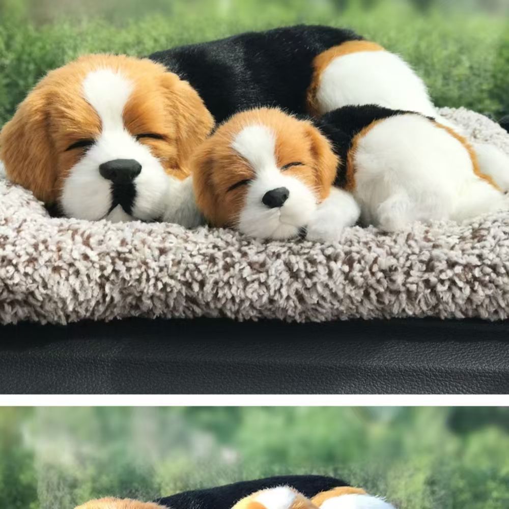 Madre e hijo Miguel frente a la cama + cabello gris