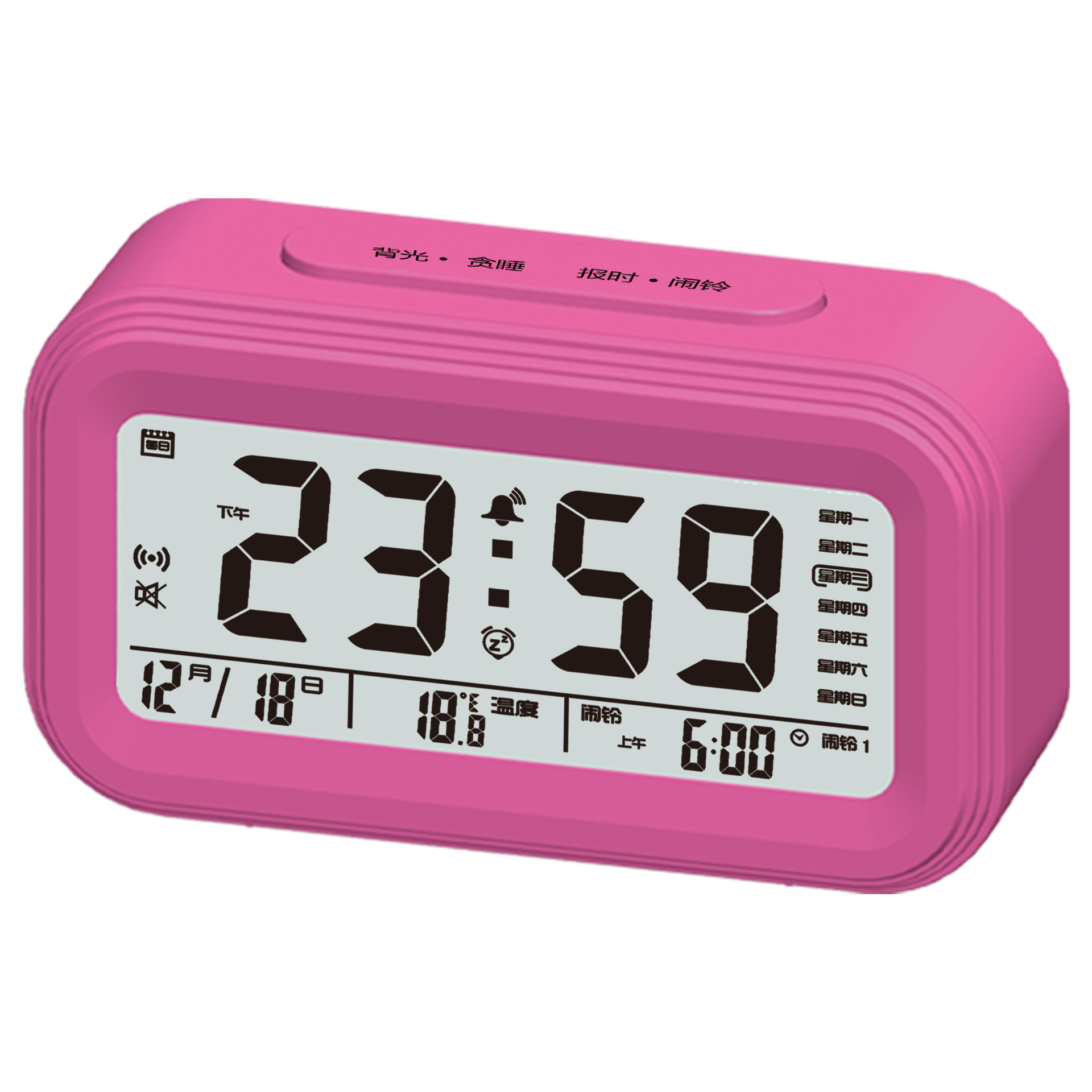 �������ܸй�������ҹ�⾲��̰˯���Ե�����������������ʱ��