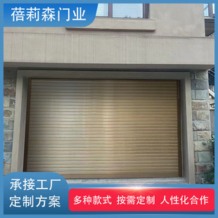Aluminum Alloy Electric Rolling Shutter Door Remote Control Rolling Shutter Door Villa Project Bank Anti-Theft Garage Door Manufacturer Direct Supply Foreign Trade