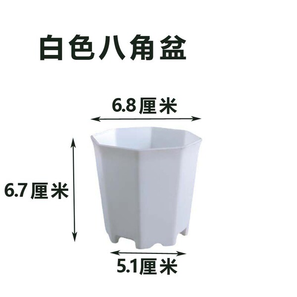 New white octagonal meat basin base wholesale foreign trade hot selling octagonal hard frosted small white basin