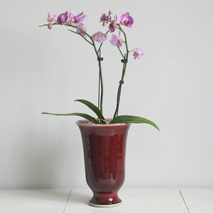 ������մɷ�ɫ���ػ�ƿ��ں����m�����ͮ������Lˇ�g�л�ƿԴ�^