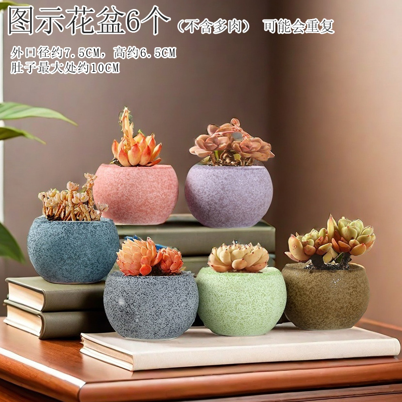 Succulent Flower Pot Ceramic Special Clearance Glazed Large and Small Simple Pastoral Desktop Breathable Stoneware Plant Thumb Pot