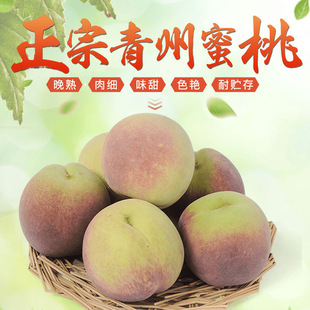 ɽ�|��������ë�����r�����x�˴����֭��������Ӳ���ЋD����ˮ��