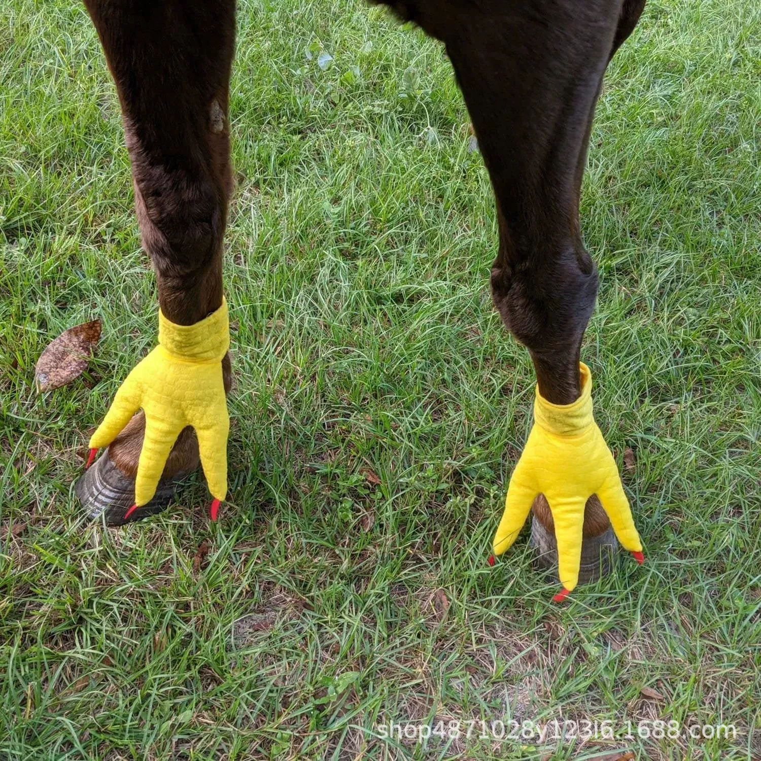 Трансграничные новые Chicken Feet For Horse Куриная подкова Тигр динозавр ножки носки домашние носки