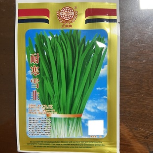 �������ͺ�ѩ�²��Ѳˈ@Ժ�ӷNֲ�߮a�߲˷N��������l�S��ֱ�N