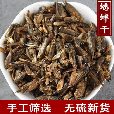 蟋蟀干包邮 蛐蛐 夜鸣虫 秋虫 将军干店有蝼蛄 五谷虫蝗虫干