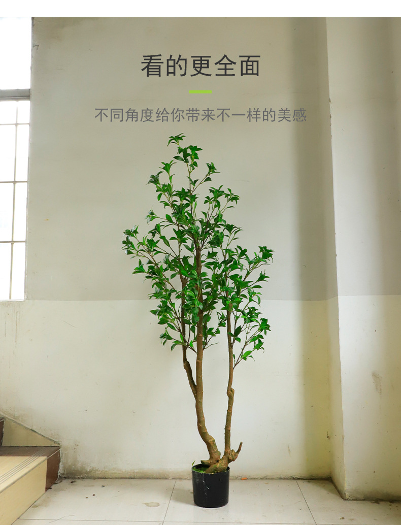 马醉木_04.jpg