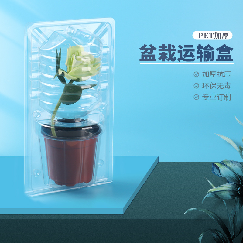 Caja de embalaje de plantas verdes de flores personalizadas, caja de transporte expreso de plántulas de flores, caja de protección de transporte de plántulas de plantas en maceta, ampolla de plástico