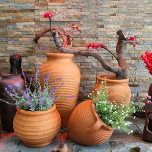 ����С�չވ@�־��^���մ��ռt�ջ����ͥԺ�̨�[���M���ļ��׏S