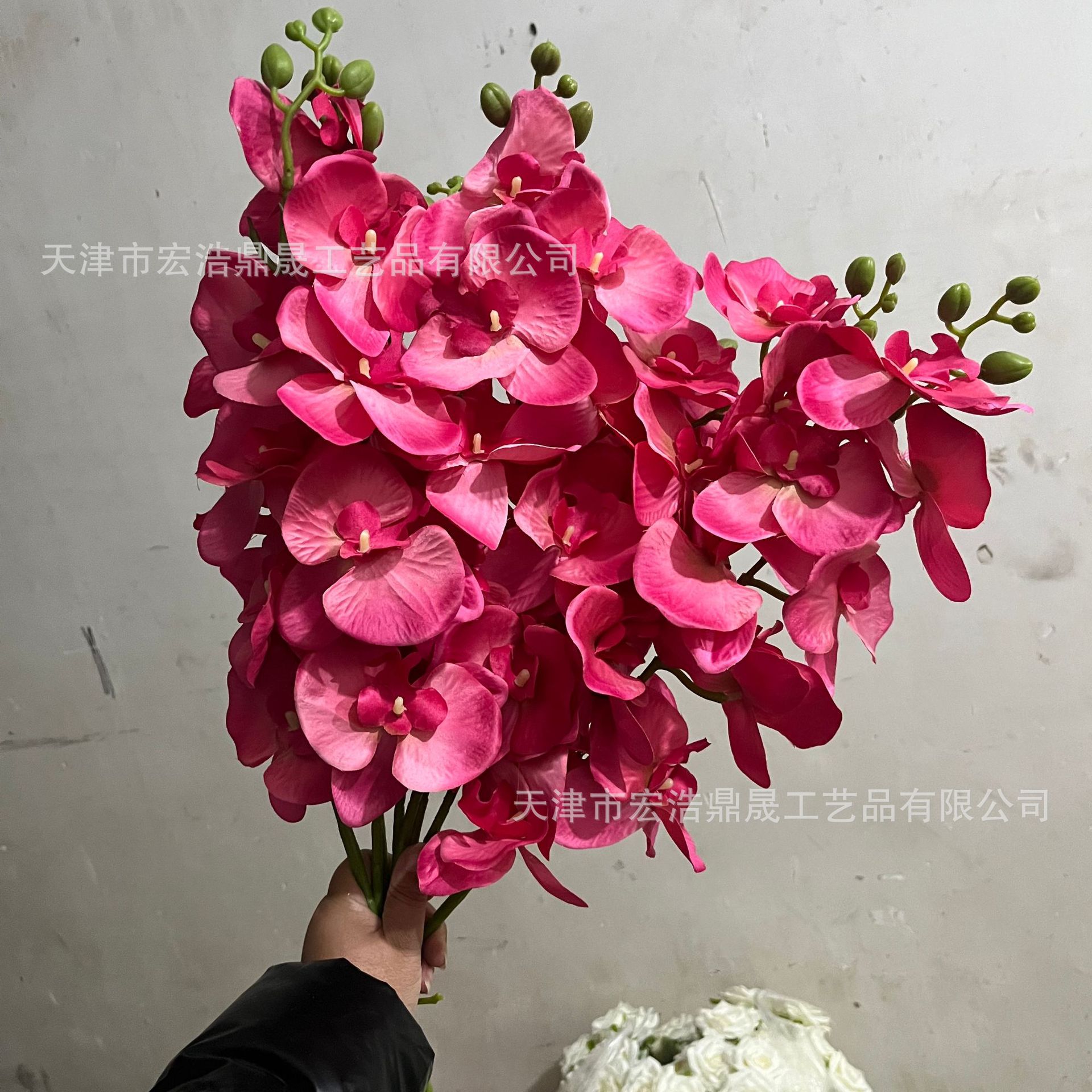 ab3c70455797af0d1f6fdff9f0189c