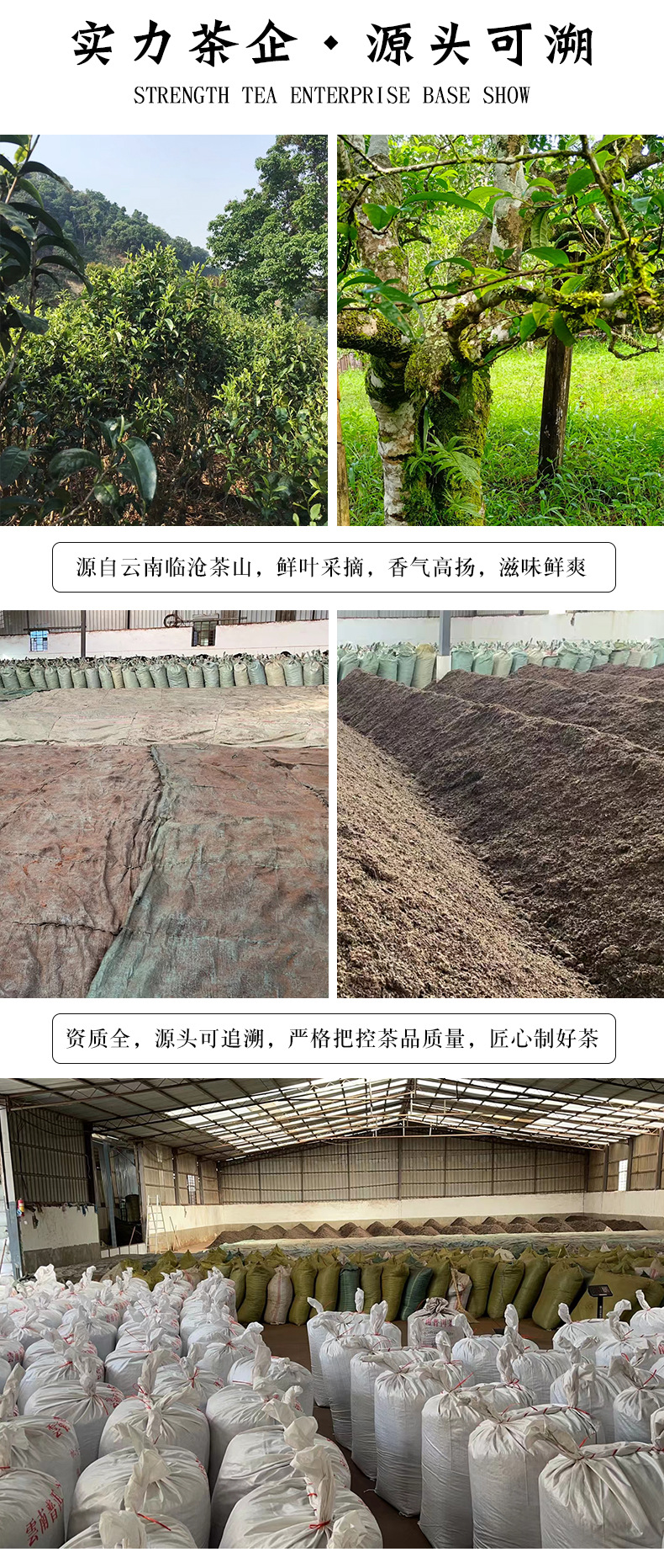 十年陈茶详情页_11.jpg