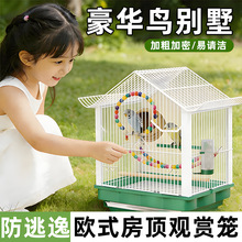 �B�\�W�^С�����P��Ƥ�����B�����B�\�Ӽ��ô�̖���ͺ��A���B�e��
