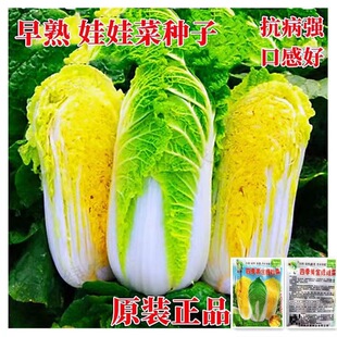 �S�����޲˷N���S�İײ˷N�Ѵ������ļ����N�̨ͥԺ�r���߲˷N��