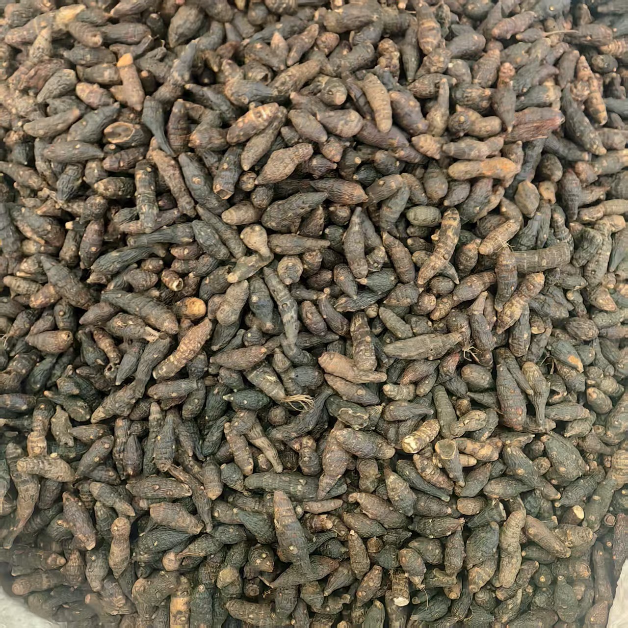 Xiang Fu Cyperus Rhizome Powder 500g Guangxi Dried Herb for Culinary and Traditional Use quality and texture