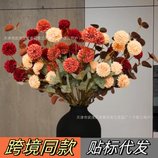 �ѹ�Ӣ���滨���T��Y��Y���÷��滨֮���ٲ��������λ��ܼٻ�