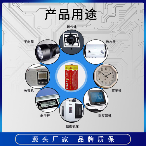 Gas stove water heater battery VSAI carbon No. 1 large R20 No. 1 stove gas stove natural gas special