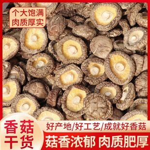 ������㹽��؛ ���_�o����񶬹� ����Ҝ�ʳ�þ��a��ɢ�b���l