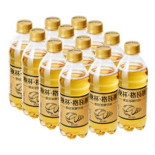 秋林格瓦斯随享装300ML*12瓶装面包发酵饮料俄罗斯风味夏天饮料