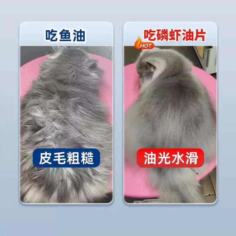 Diario de gatitos, filetes de camarón de fósforo de aguas profundas antárticas, mascotas, gatos, perros, astaxantina, aceite de pescado, cabello hermoso, lecitina anti-caída