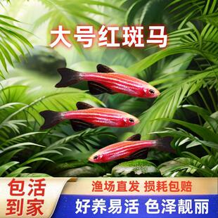 ��̖���R�~�Ꭷ�^�p�~��ȸ�~���Ƽt�G���~С�ͻ��~ˮ�~��ˮ���B