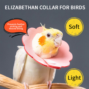 ���P�W�^����ɯ��Ȧ���o�Ȧĵ�����з���ë�B�÷���ҧë�����^��