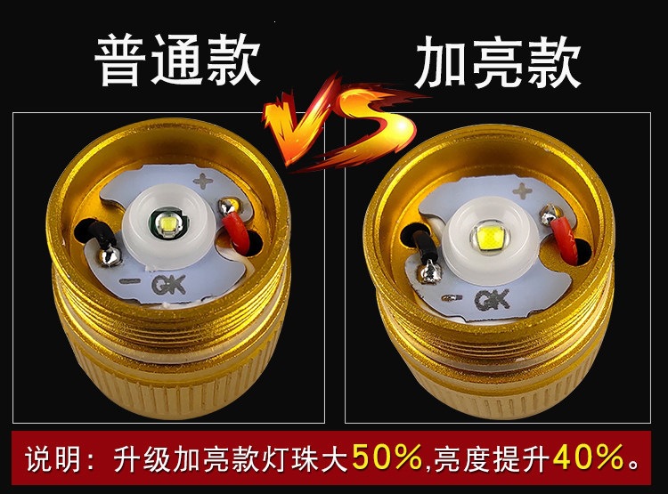 LED flashlight-style egg inspection light, strong cold light, fully automatic, for inspecting small eggs and turtle incubation