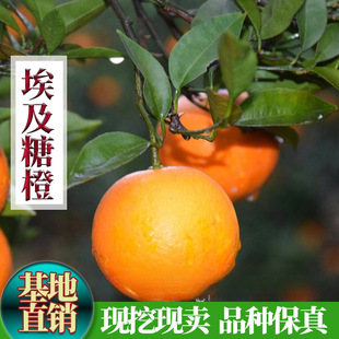 ��������Ә���������Ʒ�N�����ǳ����������Ș�����������o��