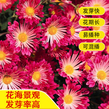 ɢbշNذջлջɫļD¾վ^׳ɻ