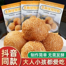 森庄农品芝麻球预拌粉100g家用南瓜油炸空心糯米粉大麻圆材料