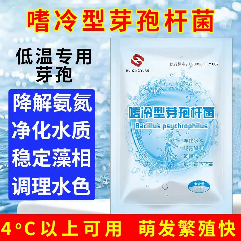 Низкая температура может использоваться для аквакультуры психрофильной бациллы для регулирования качества воды для очистки пруда с рыбными креветками и крабами