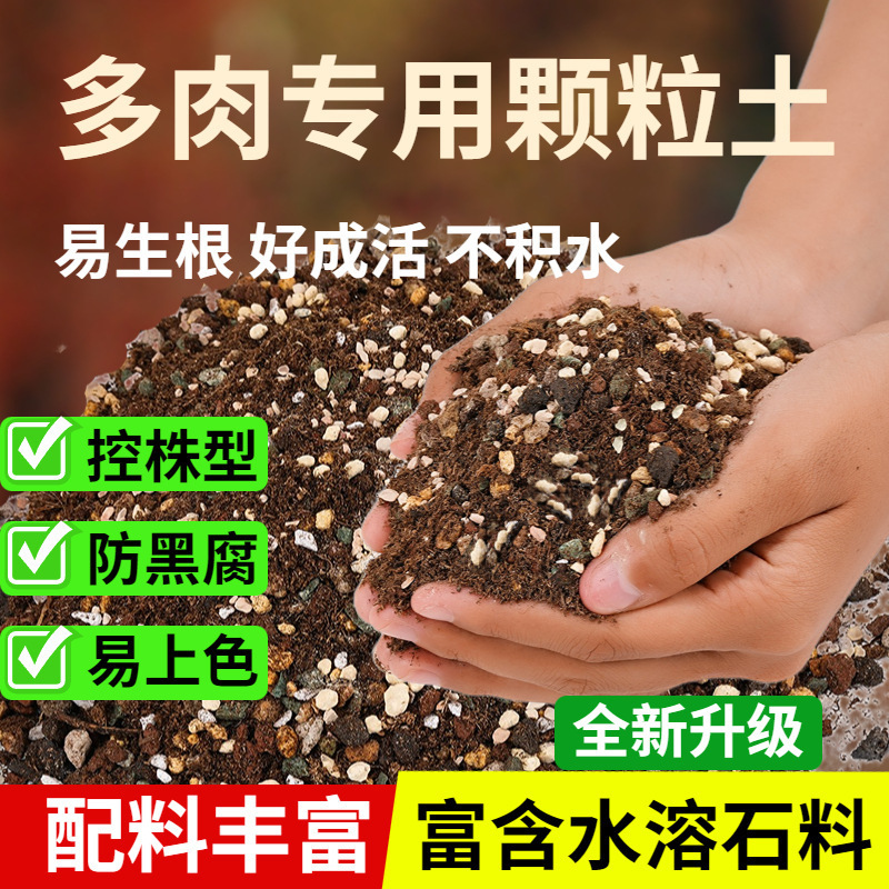 多肉植物粒土、特殊栄養土、医療石、一般花植物多肉植物土、カラフルな小石舗装|undefined