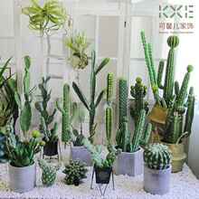 ���W�����Ƽ�������������ߟᎧ�Gֲ���҃ș����b����쾰