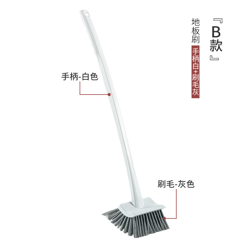 B 화이트