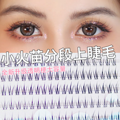 魚小丫小火苗上睫毛精緻女孩濃密卷翹自然媽生漫畫感假睫毛混血感