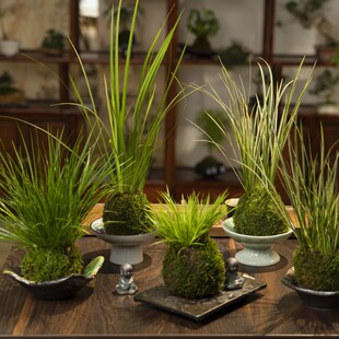 �~ǧ�~�����������˲��S�𼧽��X�ݽ��P����������