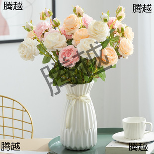 ĵ���������҃ȼٻ��ɻ�������õ�廨�����[�O�Ҿ��b��[��