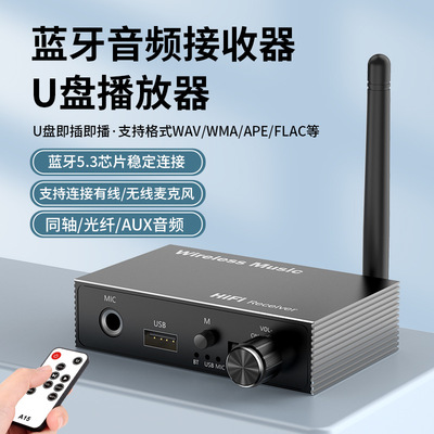 5.3 Аудио -приемник оптического волокна Bluetooth Audio для старомодного усилителя мощности динамика 6.5 Микрофон K Song U Disk Player