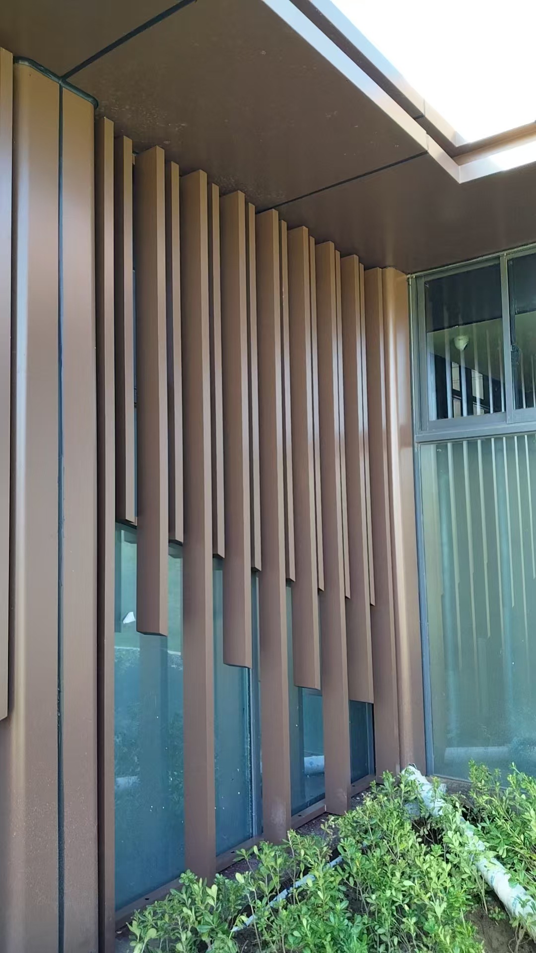 微信图片_20241116081740