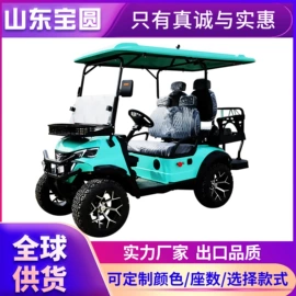 电动观光车;高尔夫球车;其他电动车