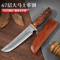 現物ダマスカス鋼VG10高硬度キャンプ刀屋外刃物は一体竜骨鋭利収蔵刀を遊ぶ