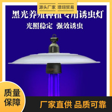 �����T�x���Bֳ�~�����x���x���w���T���r�Ú��x�ڹ���x��������