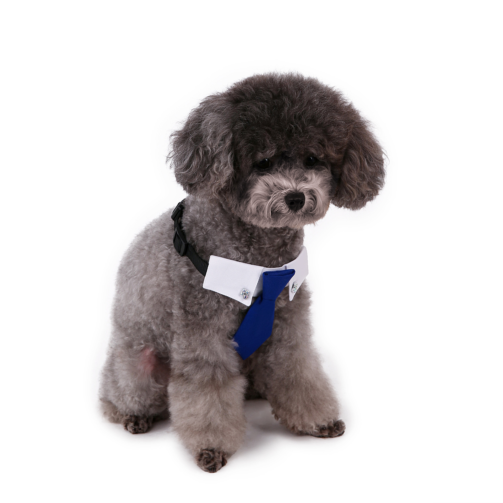 Perro transfronterizo estilo británico guapo traje de boda ropa de perro corbata collar decoración al por mayor