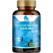 �羳���N 1000mg�{�G���z�� blue-green algae ���l���Sֱ�N O EM