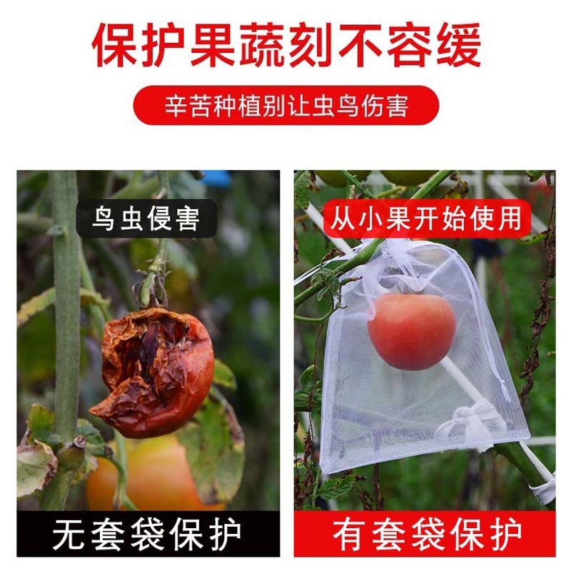 防鸟防虫袋水果套袋无花果束口草莓袋透气葡萄瓜果防果蝇防虫网袋|undefined