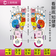 家用按摩脚垫足部脚板脚底按摩垫按摩贴2.5头一拖二拖四扣线