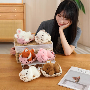 �ɐ��������նY��羳��ƷС������������ż��ͯ����������ż�[��