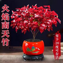 �ͺ��ֺÿ��Ļ������������������L�����҃����ԁ��R�d���l