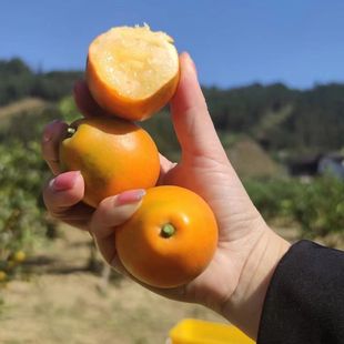 ���ڵ�����ۏV���ڰ����۽�̼����r��ˮ���o�Ѱ��b����Y��